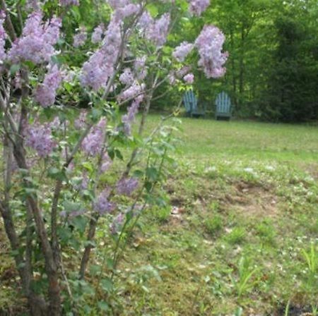 Tumble Inn Schroon Lake Ngoại thất bức ảnh
