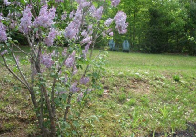 Tumble Inn Schroon Lake Ngoại thất bức ảnh